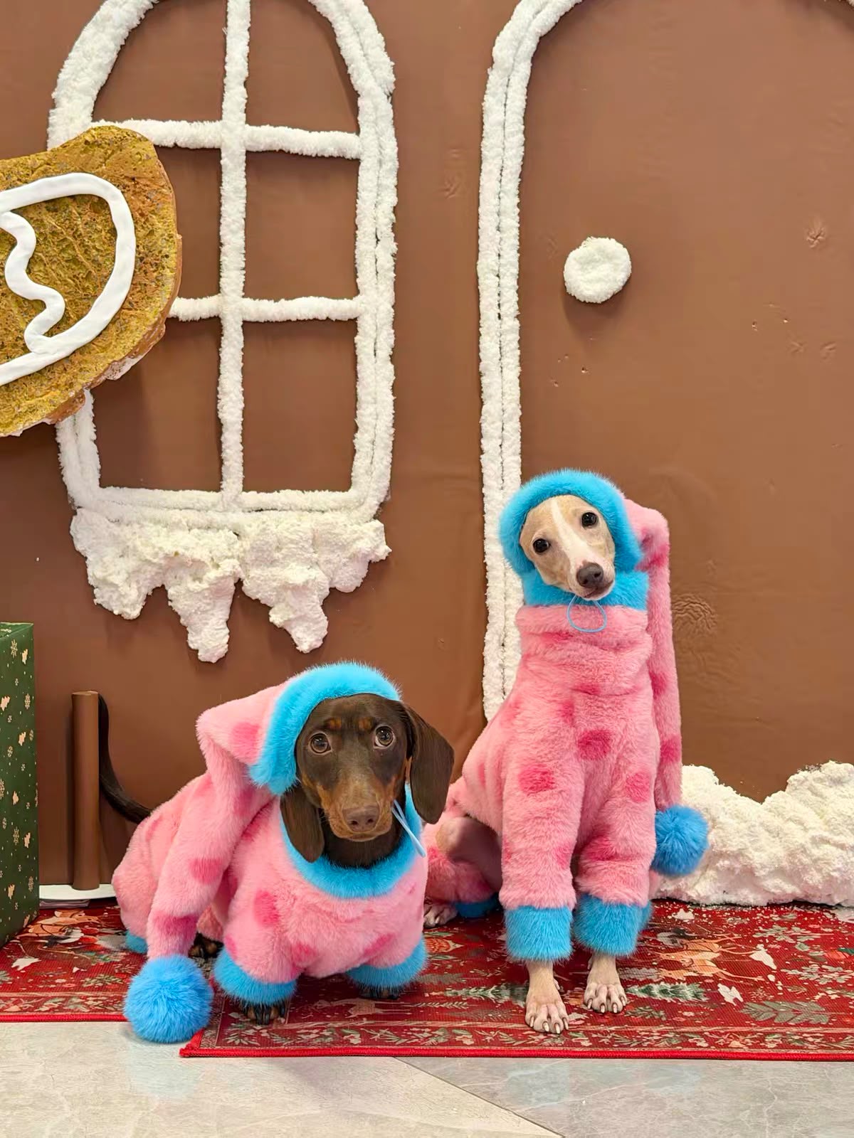 Plush Dachshund Onesie with Hood The Doxie World