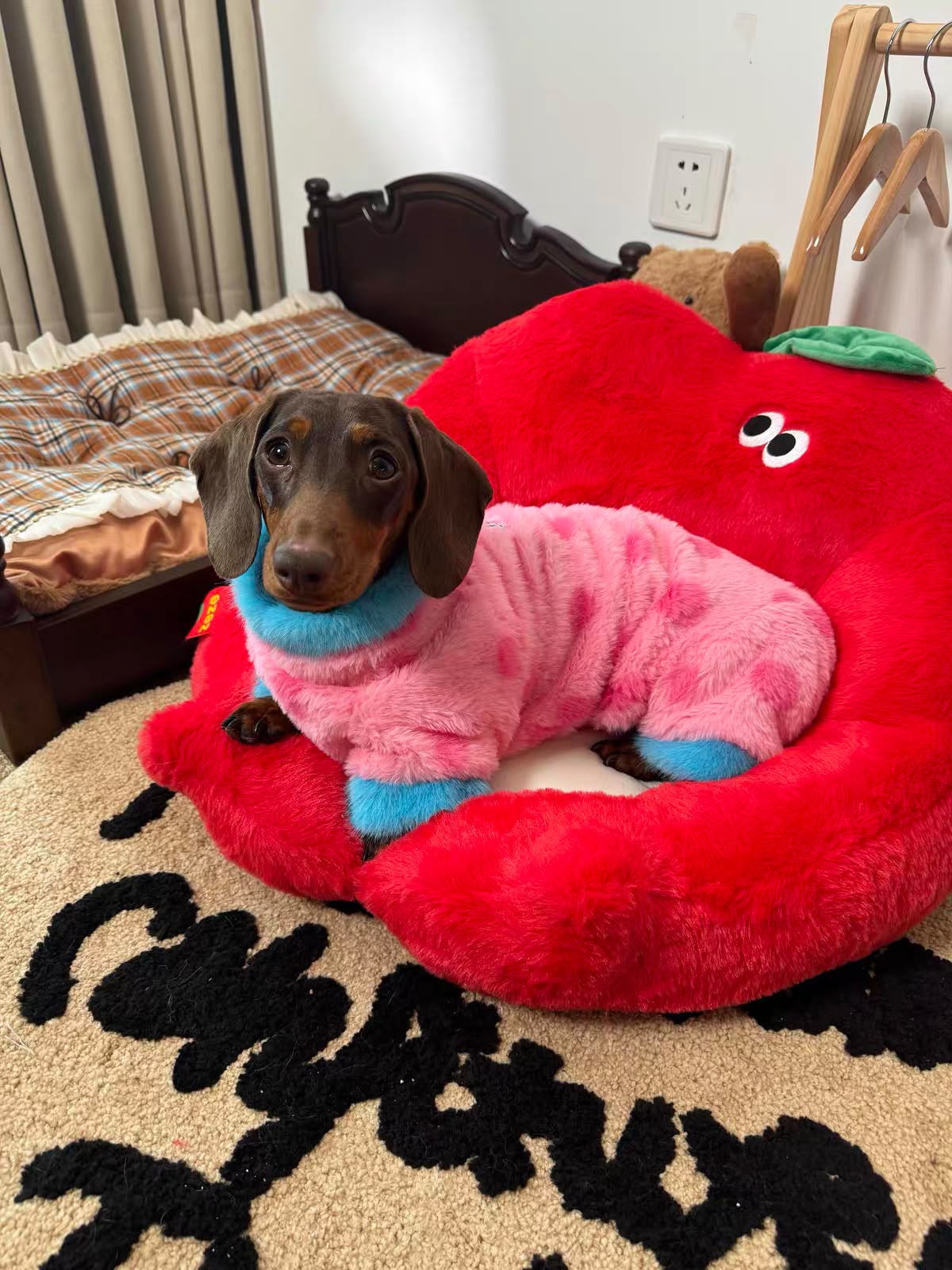 Plush Dachshund Onesie with Hood The Doxie World
