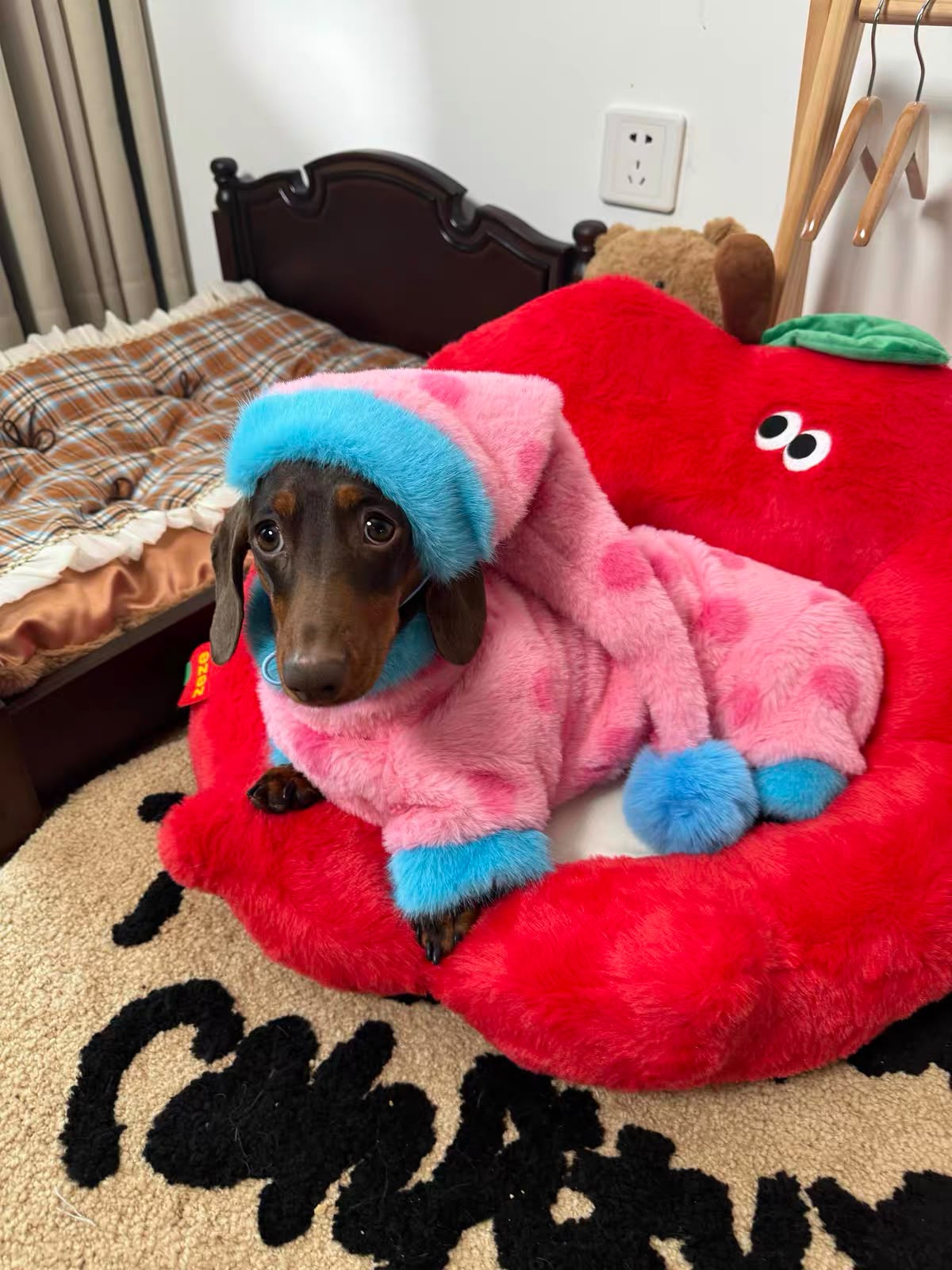 Plush Dachshund Onesie with Hood The Doxie World