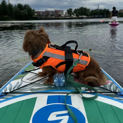 Premium Dachshund Life Jacket The Doxie World