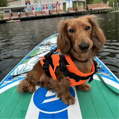 Premium Dachshund Life Jacket The Doxie World