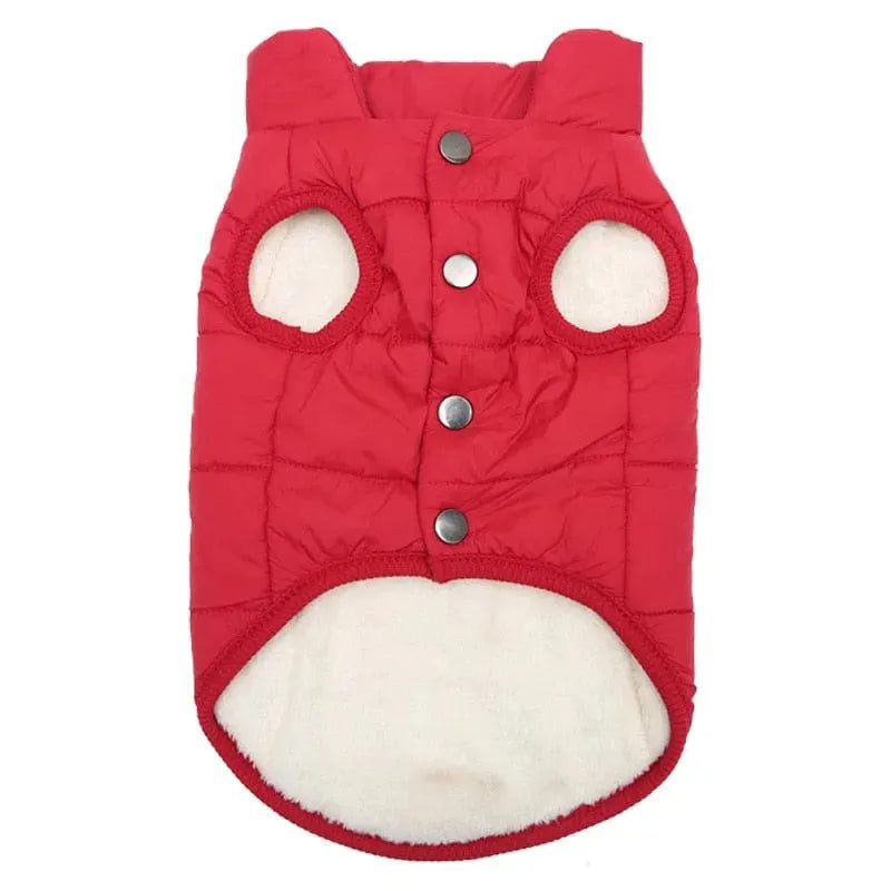 Puffer Dachshund Coat The Doxie World
