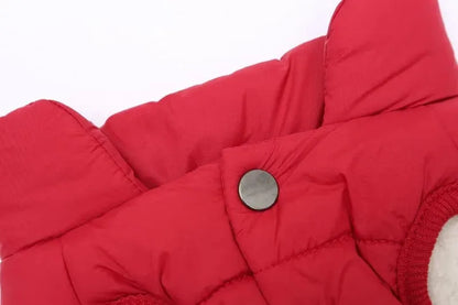Puffer Dachshund Coat The Doxie World