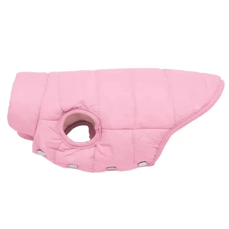Puffer Dachshund Coat The Doxie World