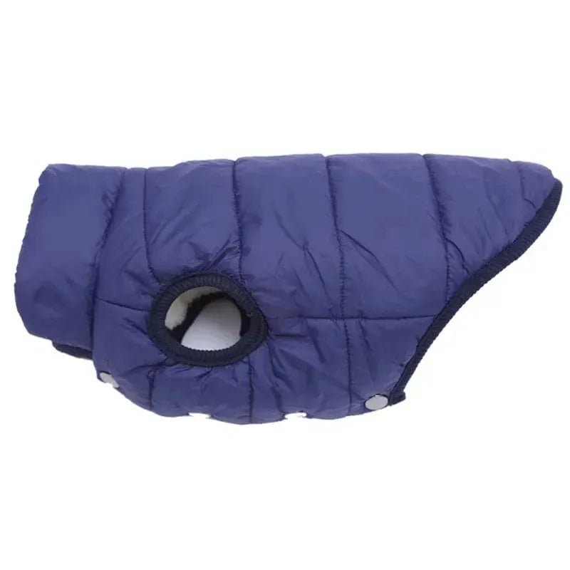 Puffer Dachshund Coat The Doxie World