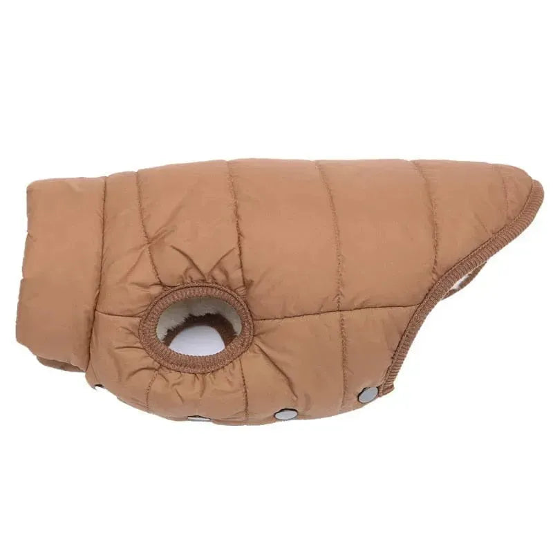 Puffer Dachshund Coat The Doxie World