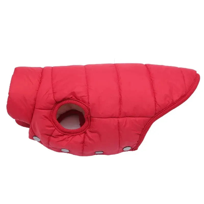 Puffer Dachshund Coat The Doxie World