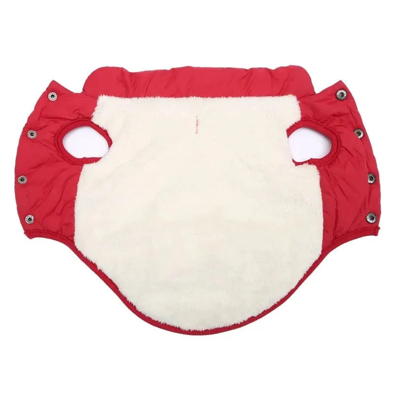 Puffer Dachshund Coat The Doxie World