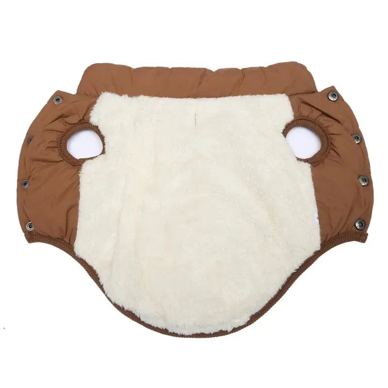 Puffer Dachshund Coat The Doxie World