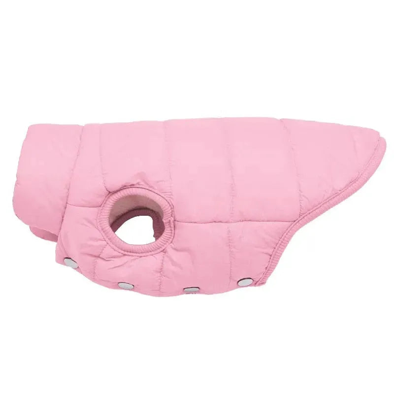 Puffer Dachshund Coat The Doxie World