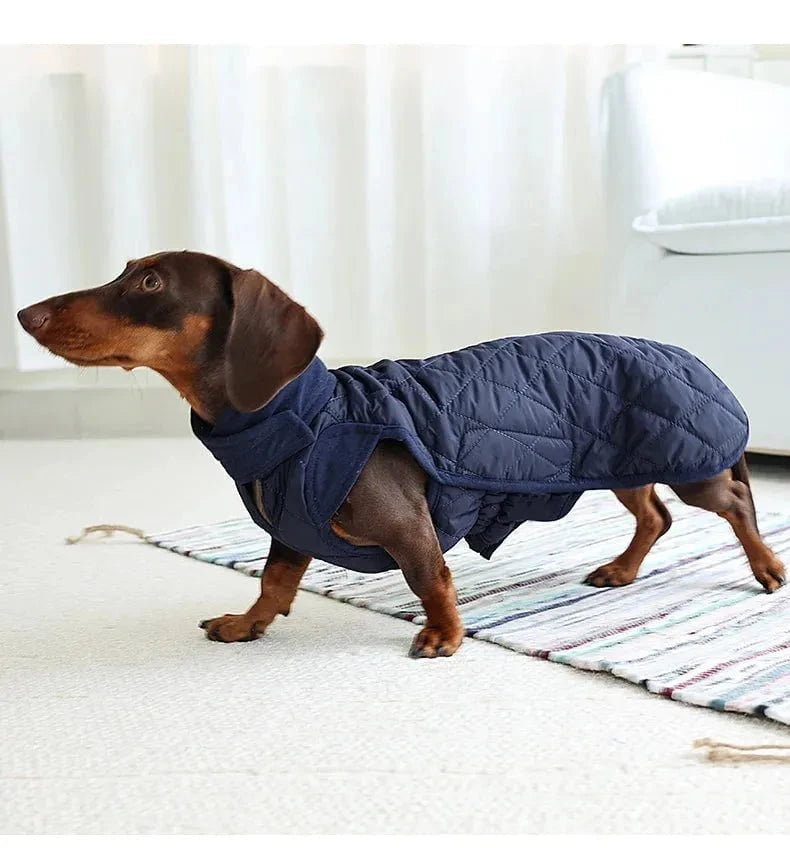 Quilted Wiener Dog Coat The Doxie World