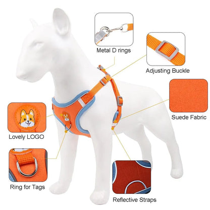 Reflective Dachshund Harness and Leash Set The Doxie World
