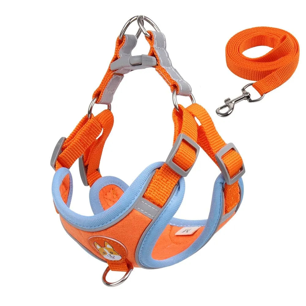 Reflective Dachshund Harness and Leash Set The Doxie World