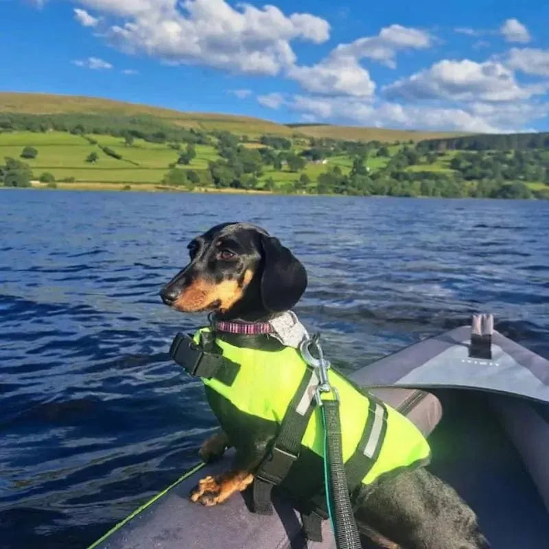 Reflective Dachshund Life Vest The Doxie World
