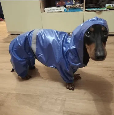 Reflective Dachshund Raincoat The Doxie World