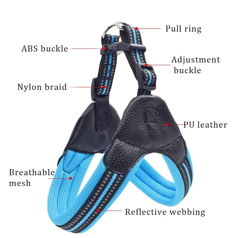 Reflective Dog Harness and Leash Set The Doxie World