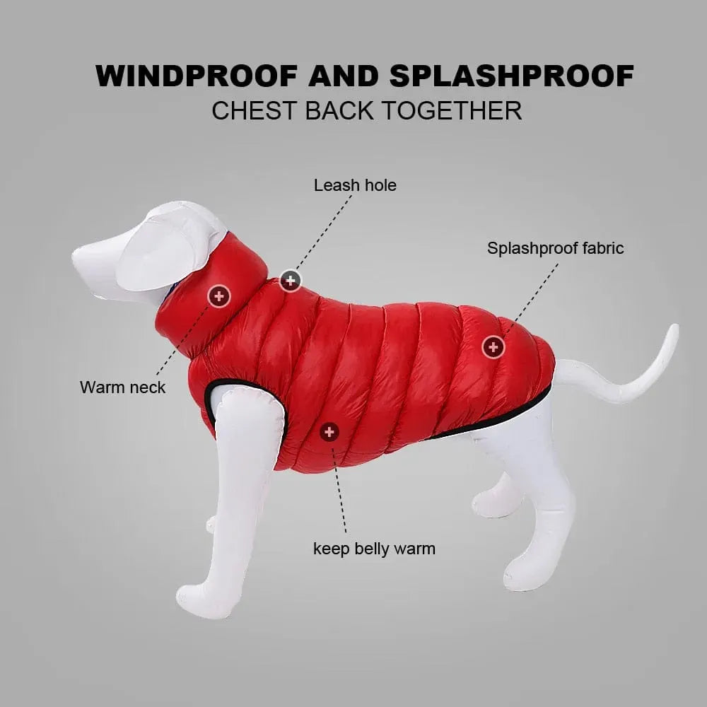 Reversible Dachshund Jacket The Doxie World