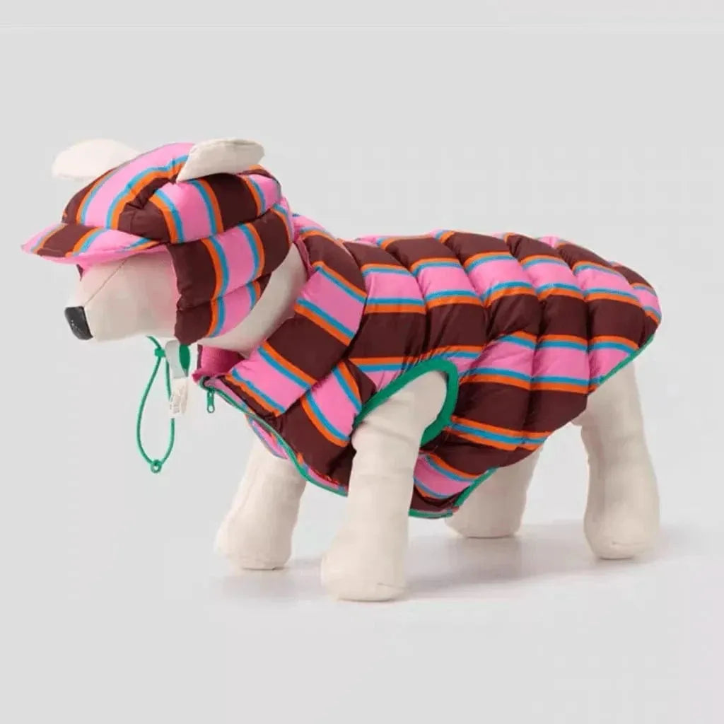 Reversible Wiener Dog Jacket Set (Hat & Jacket) / XS The Doxie World