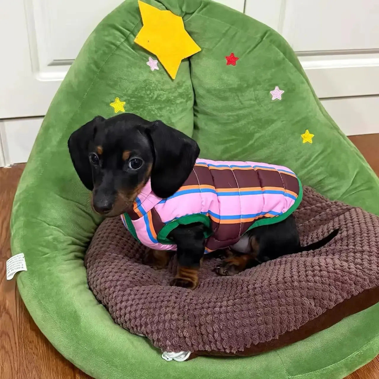 Reversible Wiener Dog Jacket The Doxie World