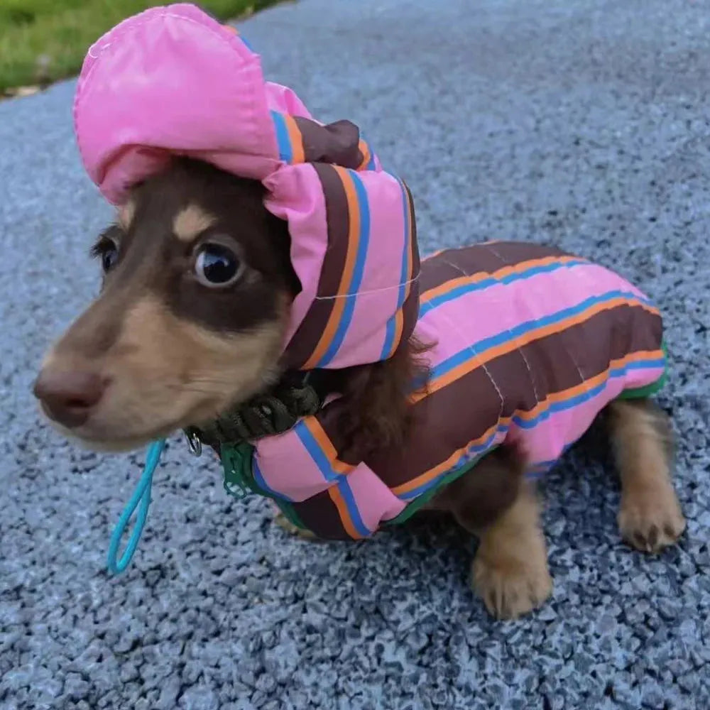 Reversible Wiener Dog Jacket The Doxie World