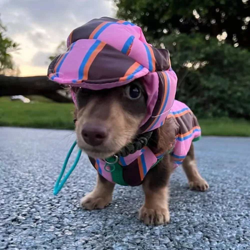 Reversible Wiener Dog Jacket The Doxie World