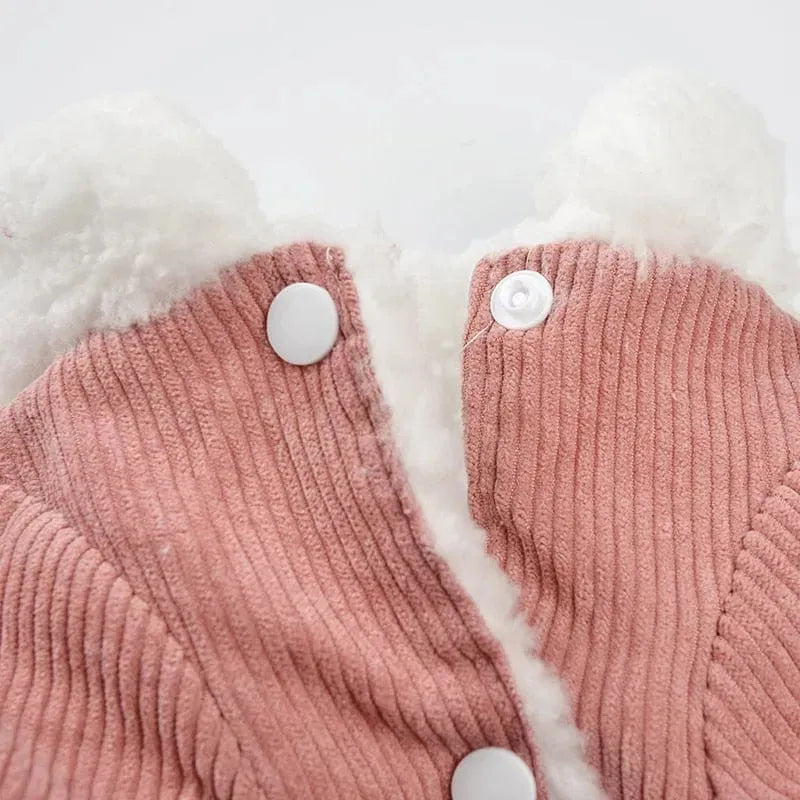 Ribbed Velvet Dachshund Jacket The Doxie World