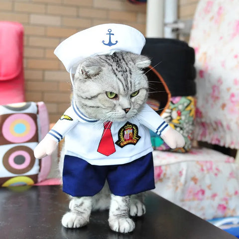 Sausage Dog Halloween Costumes Sailor / L The Doxie World