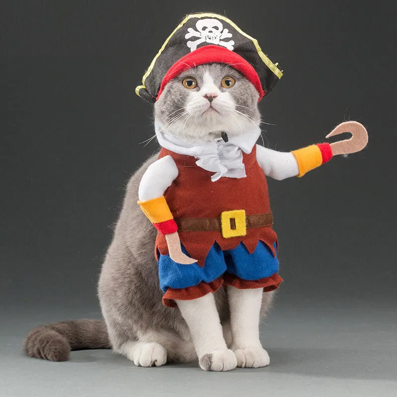 Sausage Dog Halloween Costumes Pirate / L The Doxie World
