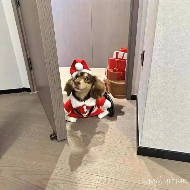 Sausage Dog Santa Costume The Doxie World