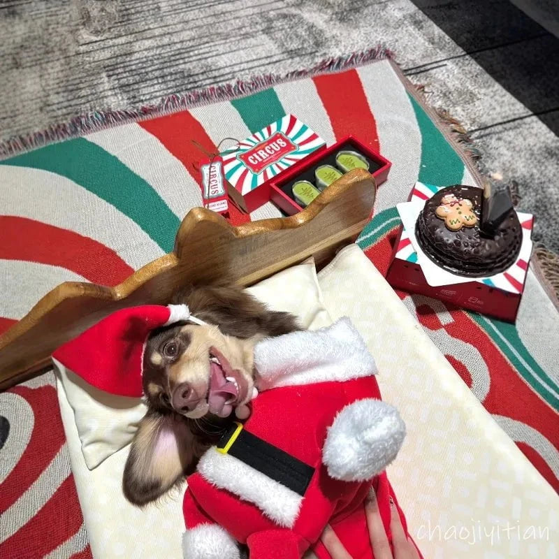 Sausage Dog Santa Costume The Doxie World