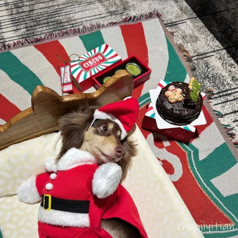 Sausage Dog Santa Costume The Doxie World