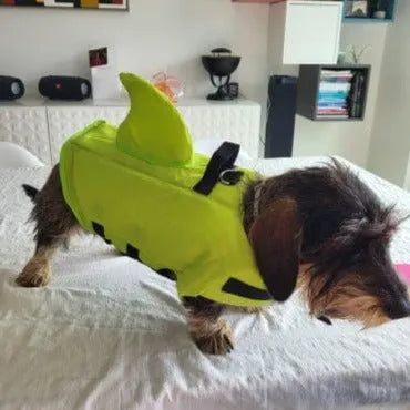 Shark Life Jacket For Dachshund The Doxie World