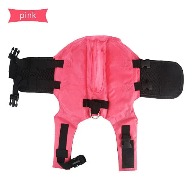 Shark Life Jacket For Dachshund The Doxie World