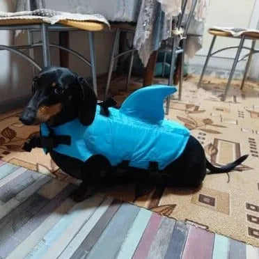 Shark Life Jacket For Dachshund The Doxie World
