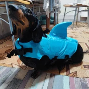 Shark Life Jacket For Dachshund The Doxie World