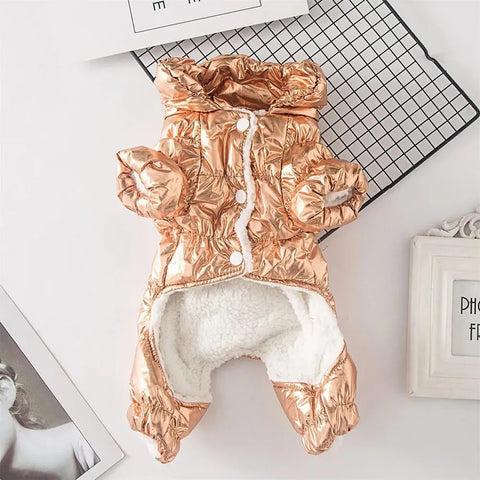 Shiny Dachshund Coat The Doxie World