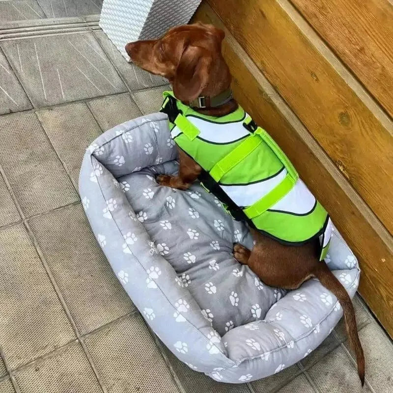 Sporty Dachshund Life Vest The Doxie World