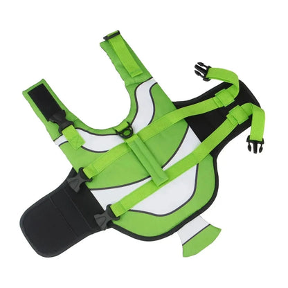 Sporty Dachshund Life Vest Green / XS The Doxie World