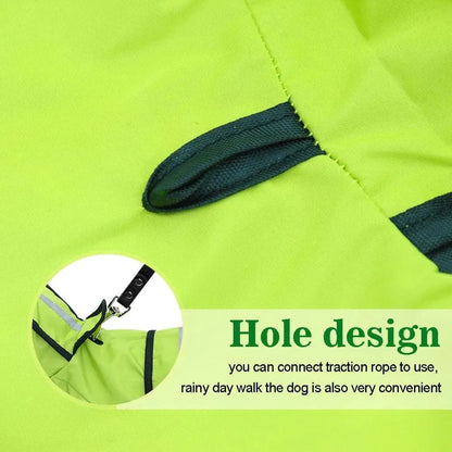 Sporty Dachshund Raincoat thedoxieworld