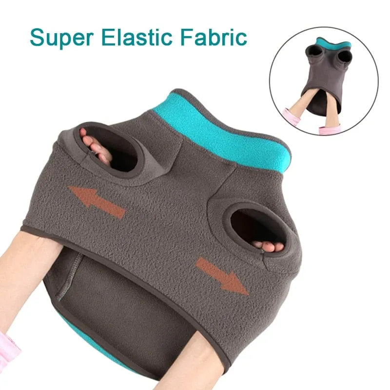 Stretch Dachshund Jacket thedoxieworld