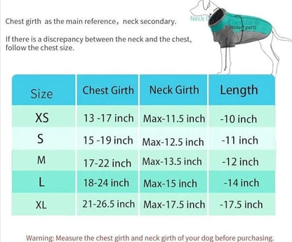 Stretch Dachshund Jacket thedoxieworld