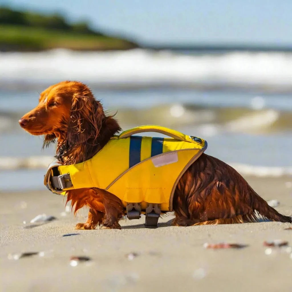 Superior Wiener Dog Life Vest The Doxie World
