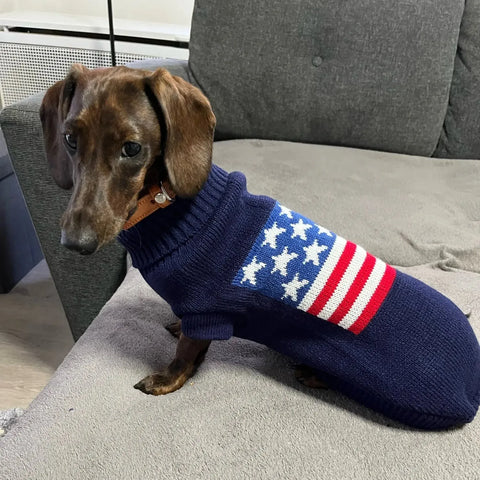 American Flag Weenie Dog Sweater