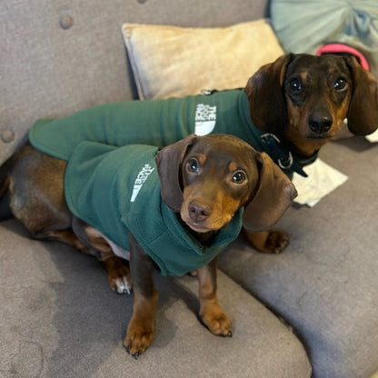 The Dog Face Dachshund Fleece Jacket The Doxie World