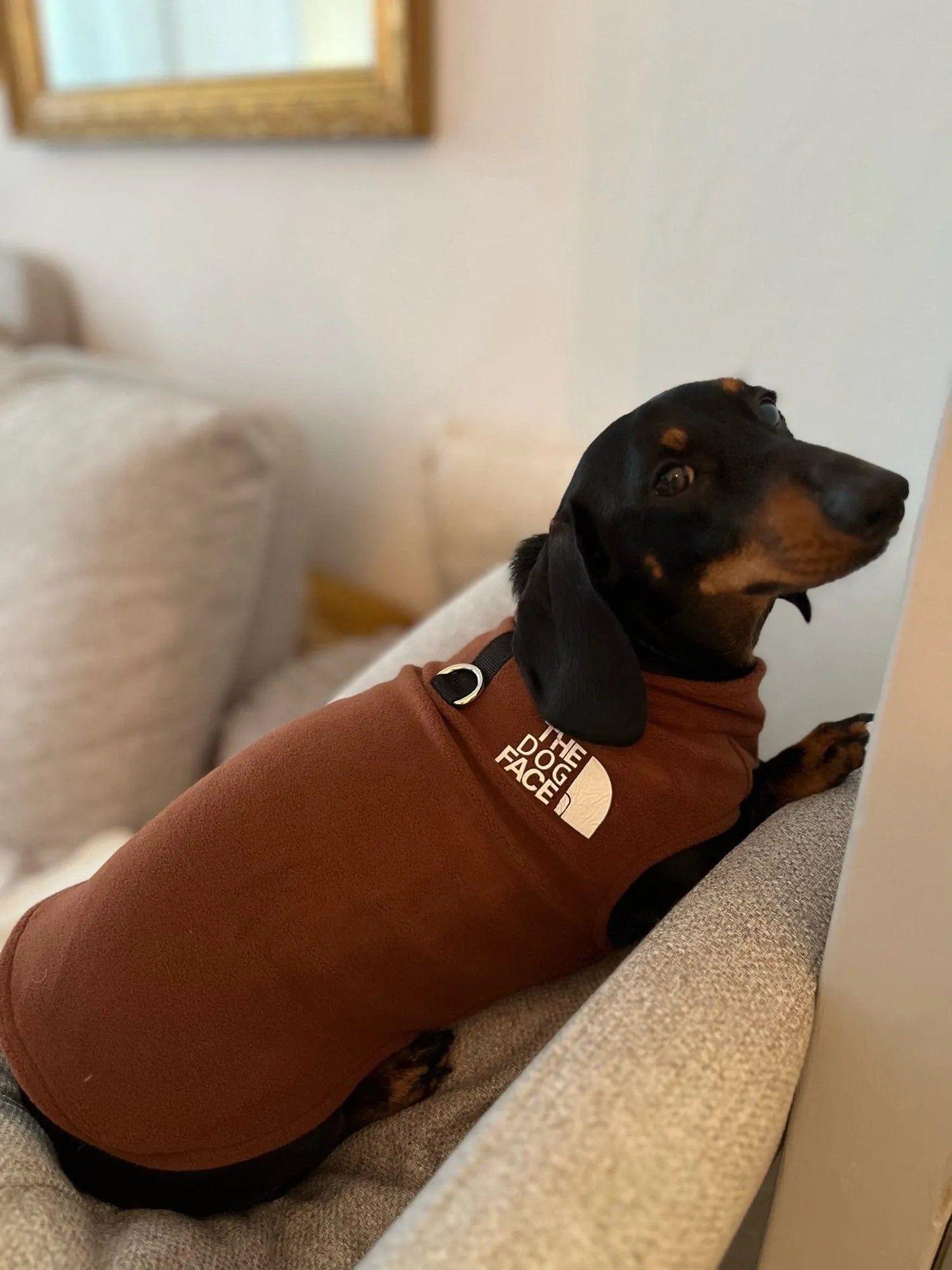 The Dog Face Dachshund Fleece Jacket The Doxie World