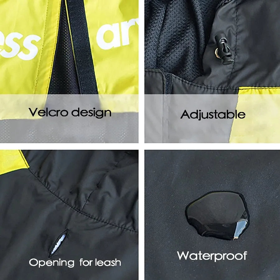 The Dog Face Dachshund Jacket The Doxie World