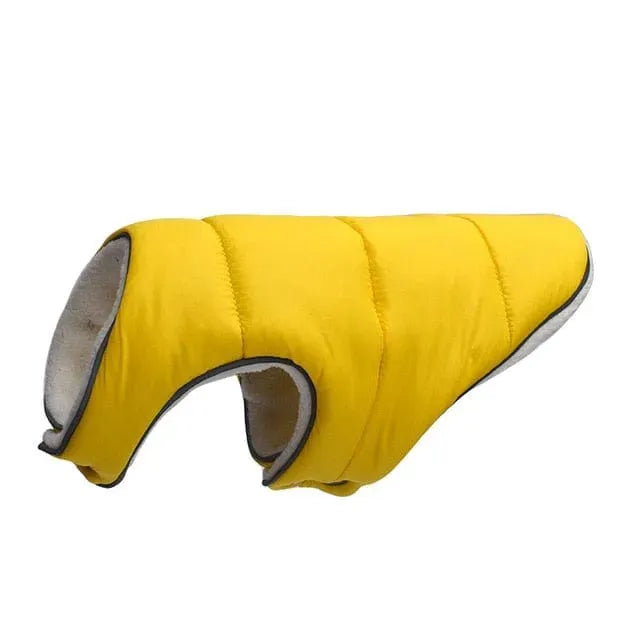 Tucker Dachshund Jacket yellow / S thedoxieworld