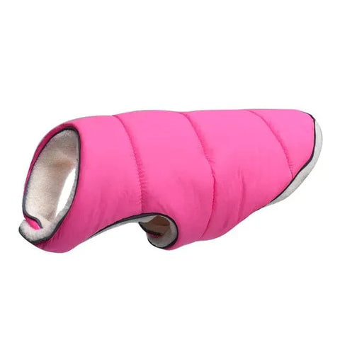 Tucker Dachshund Jacket pink / S thedoxieworld