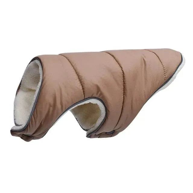 Tucker Dachshund Jacket light coffee / S thedoxieworld