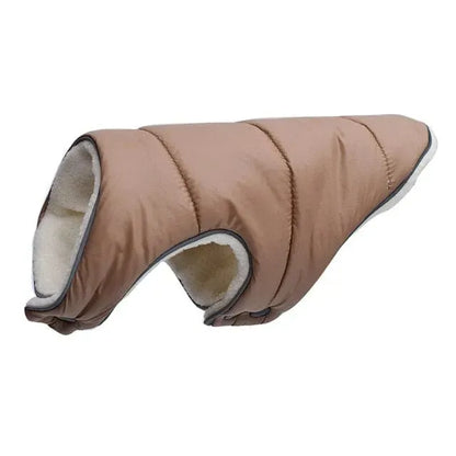 Tucker Dachshund Jacket light coffee / S thedoxieworld